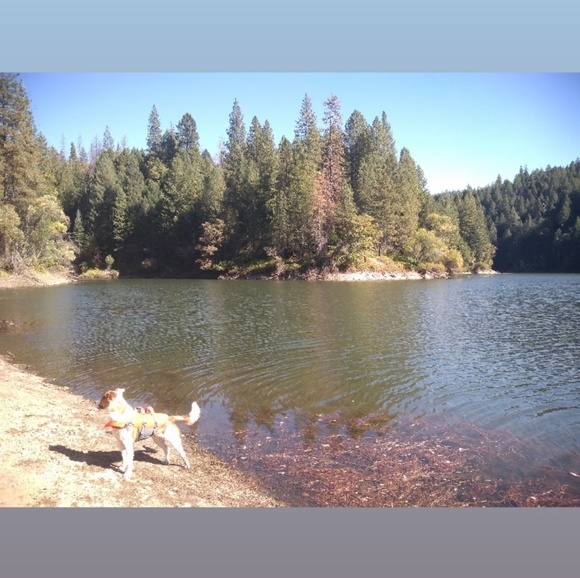 Meet your Posher, Meadow - Picture 3 of 5